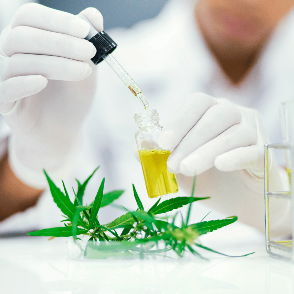 Canabidiol (CDB) no Autismo