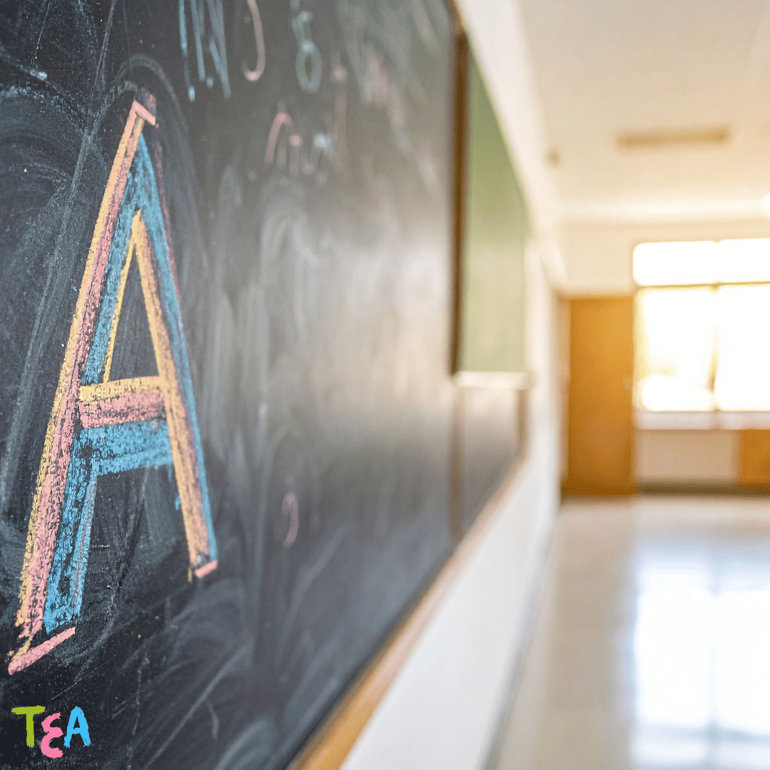 Quando a Escola se Recusa a Garantir os Direitos do Autista o que a Família Deve Fazer